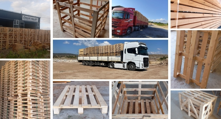 Şabanözü Euro Palet Fiyatları